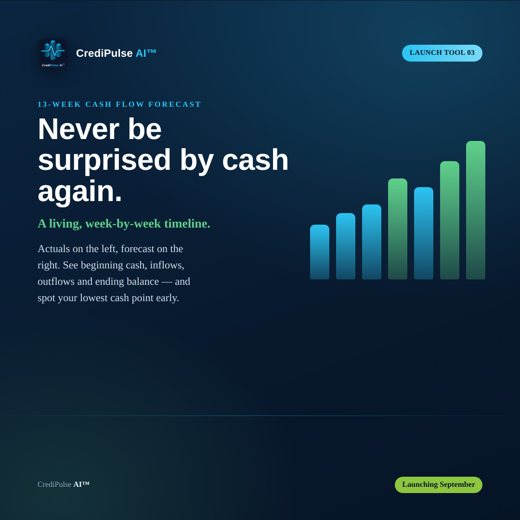 13-Week Cash Forecast teaser