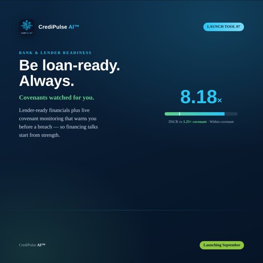 Bank & Lender Readiness teaser